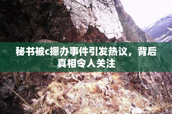 秘书被c摁办事件引发热议，背后真相令人关注