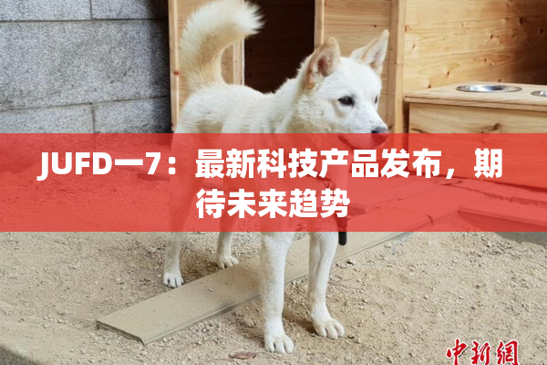 JUFD一7：最新科技产品发布，期待未来趋势