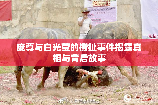 庞尊与白光莹的撕扯事件揭露真相与背后故事