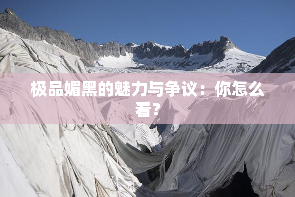 极品媚黑的魅力与争议：你怎么看？