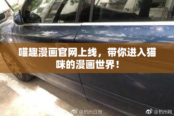 喵趣漫画官网上线，带你进入猫咪的漫画世界！