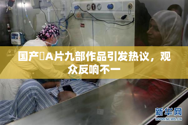 国产婬A片九部作品引发热议，观众反响不一