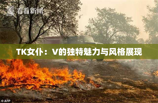 TK女仆：V的独特魅力与风格展现