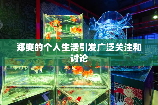 郑爽的个人生活引发广泛关注和讨论
