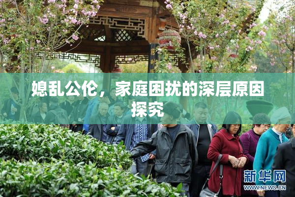 媳乱公伦，家庭困扰的深层原因探究