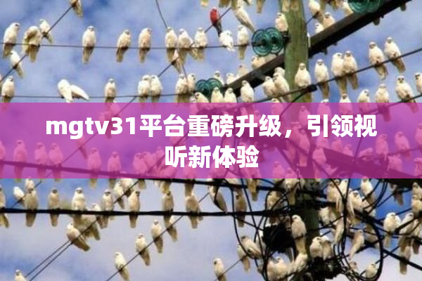 mgtv31平台重磅升级，引领视听新体验