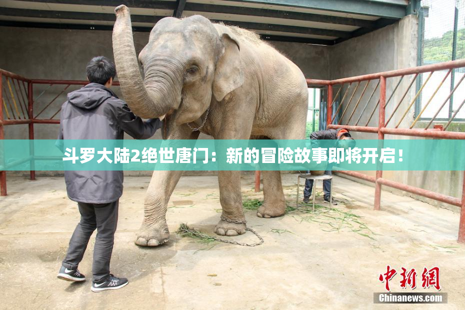 斗罗大陆2绝世唐门：新的冒险故事即将开启！
