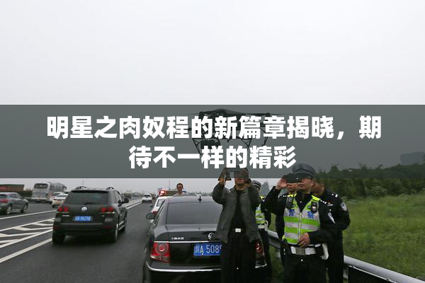 明星之肉奴程的新篇章揭晓，期待不一样的精彩