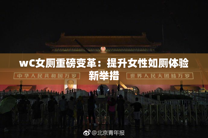 wC女厕重磅变革：提升女性如厕体验新举措
