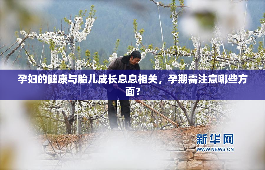 孕妇的健康与胎儿成长息息相关，孕期需注意哪些方面？