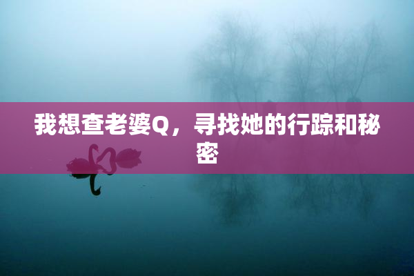 我想查老婆Q，寻找她的行踪和秘密
