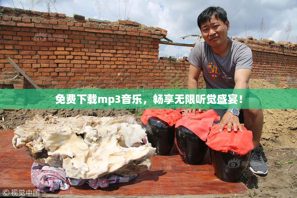 免费下载mp3音乐，畅享无限听觉盛宴！