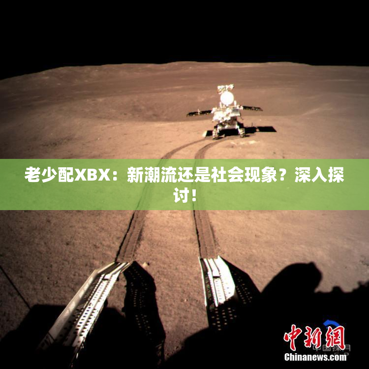 老少配XBX：新潮流还是社会现象？深入探讨！