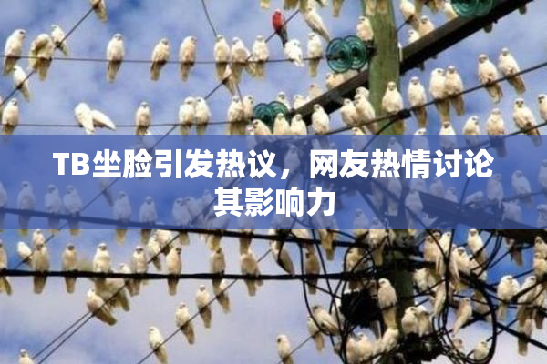 TB坐脸引发热议，网友热情讨论其影响力