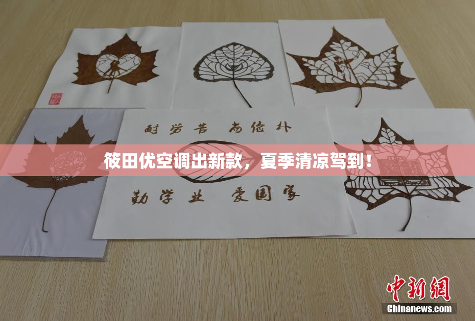 筱田优空调出新款，夏季清凉驾到！