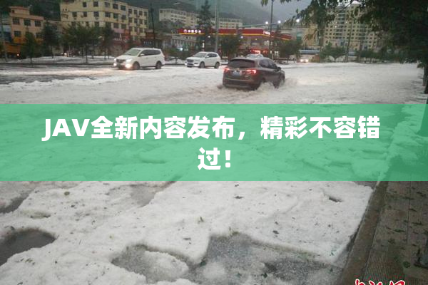 JAV全新内容发布，精彩不容错过！