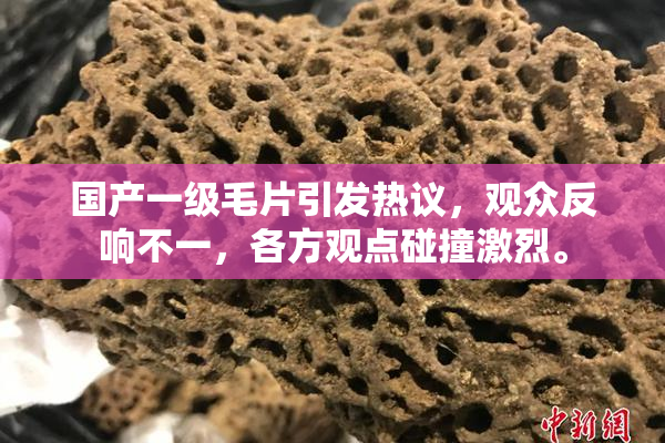 国产一级毛片引发热议，观众反响不一，各方观点碰撞激烈。