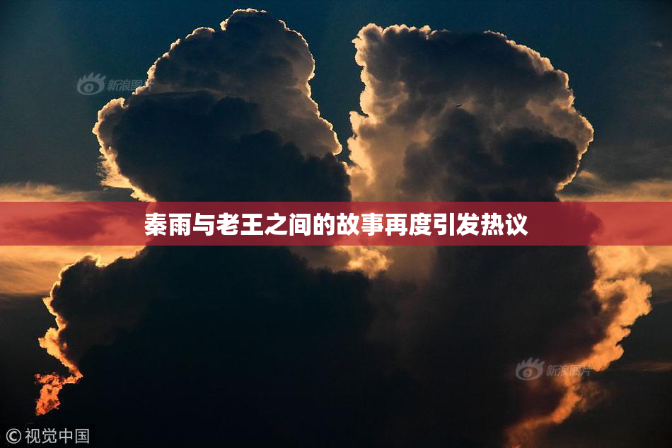 秦雨与老王之间的故事再度引发热议