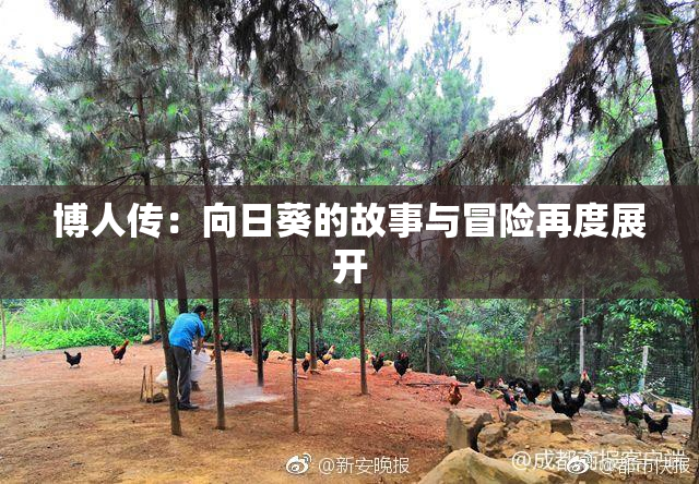 博人传：向日葵的故事与冒险再度展开