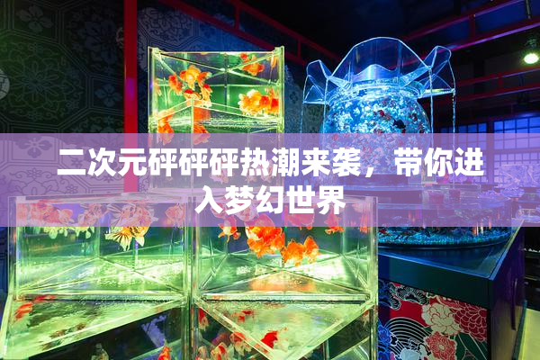二次元砰砰砰热潮来袭，带你进入梦幻世界