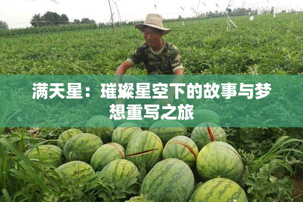 满天星：璀璨星空下的故事与梦想重写之旅