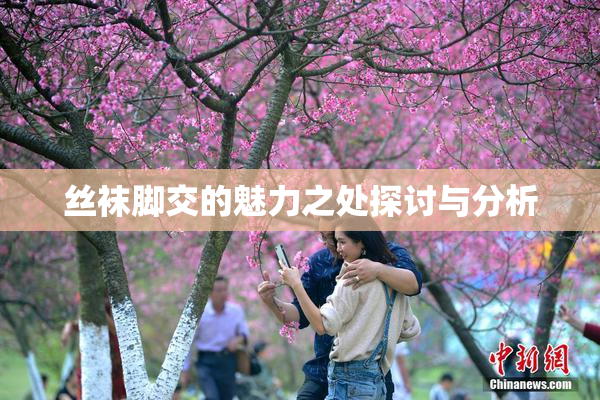 丝袜脚交的魅力之处探讨与分析