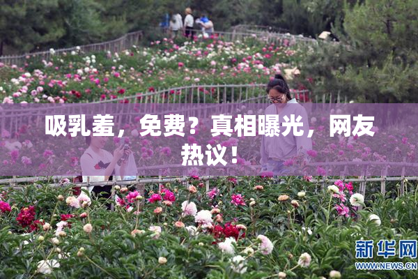 吸乳羞，免费？真相曝光，网友热议！