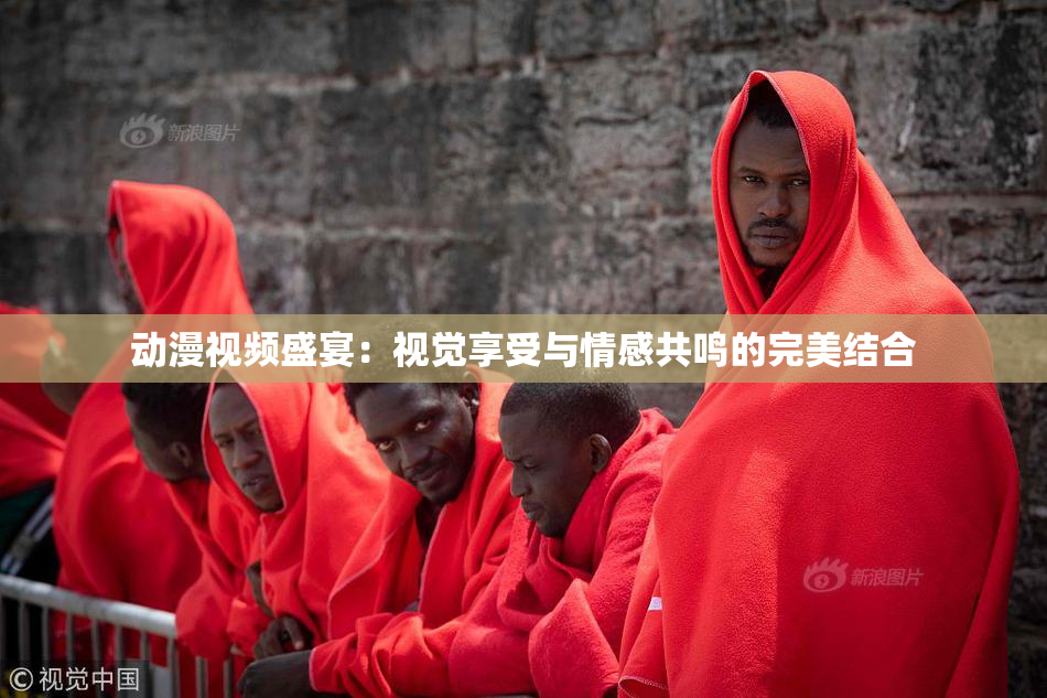 动漫视频盛宴：视觉享受与情感共鸣的完美结合