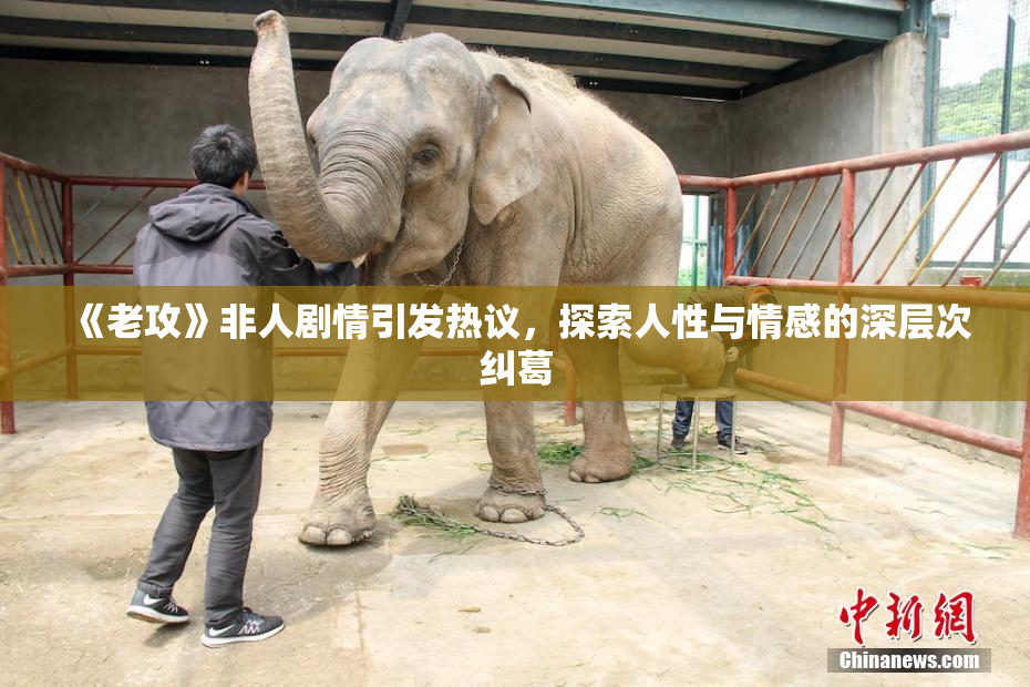 《老攻》非人剧情引发热议，探索人性与情感的深层次纠葛