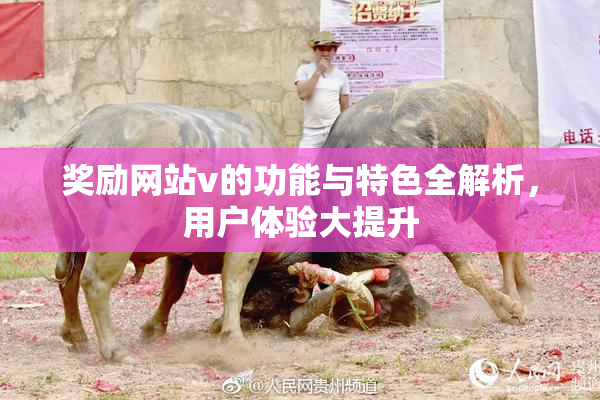 奖励网站v的功能与特色全解析，用户体验大提升