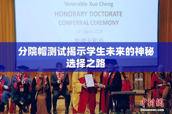 分院帽测试揭示学生未来的神秘选择之路