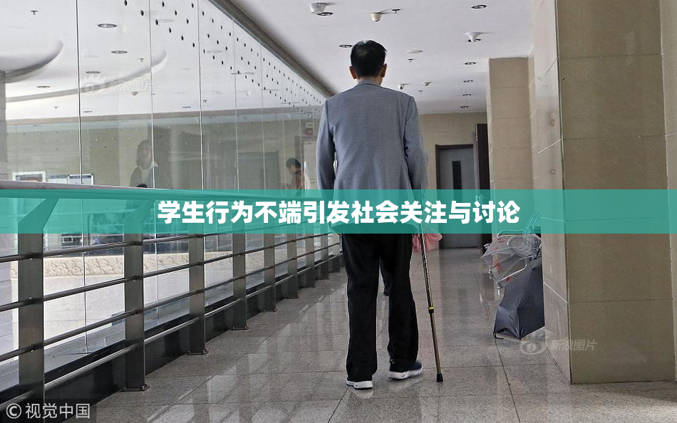 学生行为不端引发社会关注与讨论