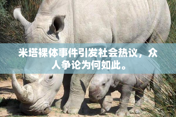 米塔裸体事件引发社会热议，众人争论为何如此。