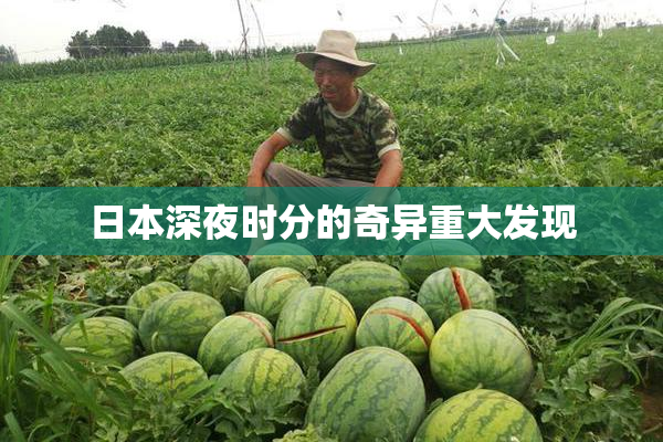 日本深夜时分的奇异重大发现