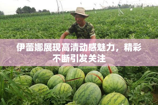 伊蕾娜展现高清动感魅力，精彩不断引发关注
