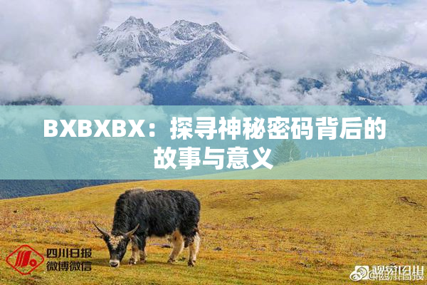 BXBXBX：探寻神秘密码背后的故事与意义