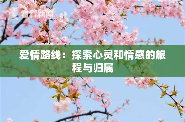 爱情路线：探索心灵和情感的旅程与归属