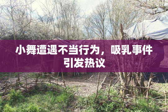 小舞遭遇不当行为，吸乳事件引发热议