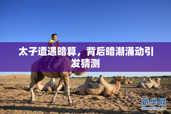 太子遭遇暗算，背后暗潮涌动引发猜测