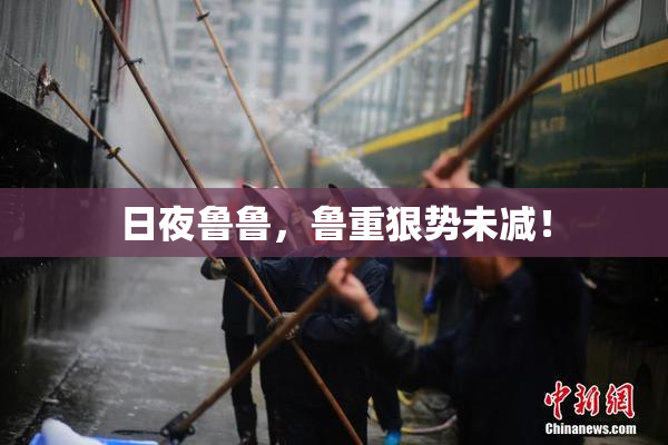 日夜鲁鲁，鲁重狠势未减！