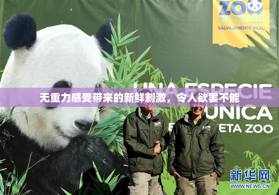 无重力感受带来的新鲜刺激，令人欲罢不能