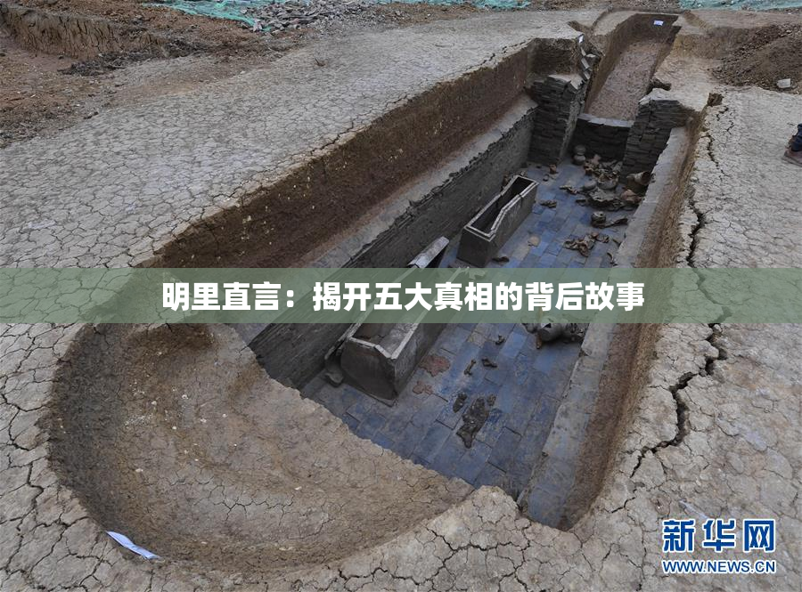 明里直言：揭开五大真相的背后故事