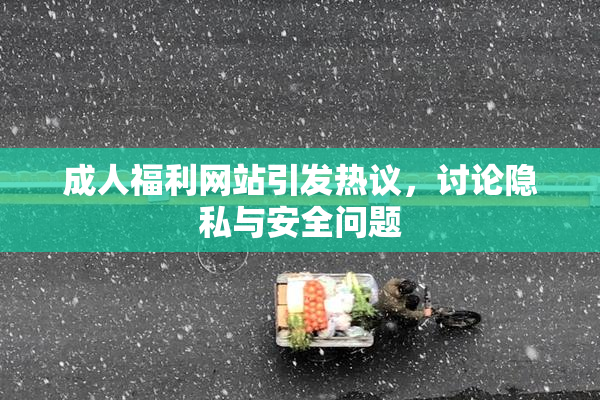 成人福利网站引发热议，讨论隐私与安全问题