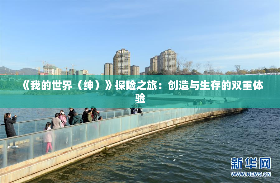 《我的世界（绅）》探险之旅：创造与生存的双重体验