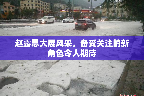 赵露思大展风采，备受关注的新角色令人期待