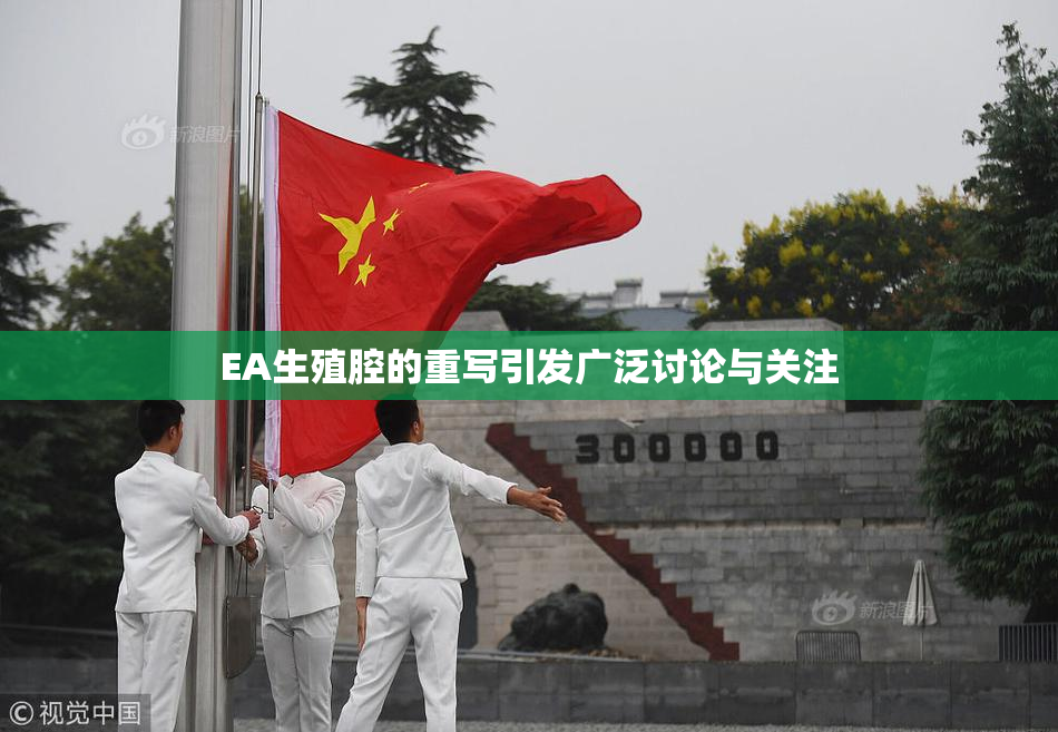 EA生殖腔的重写引发广泛讨论与关注