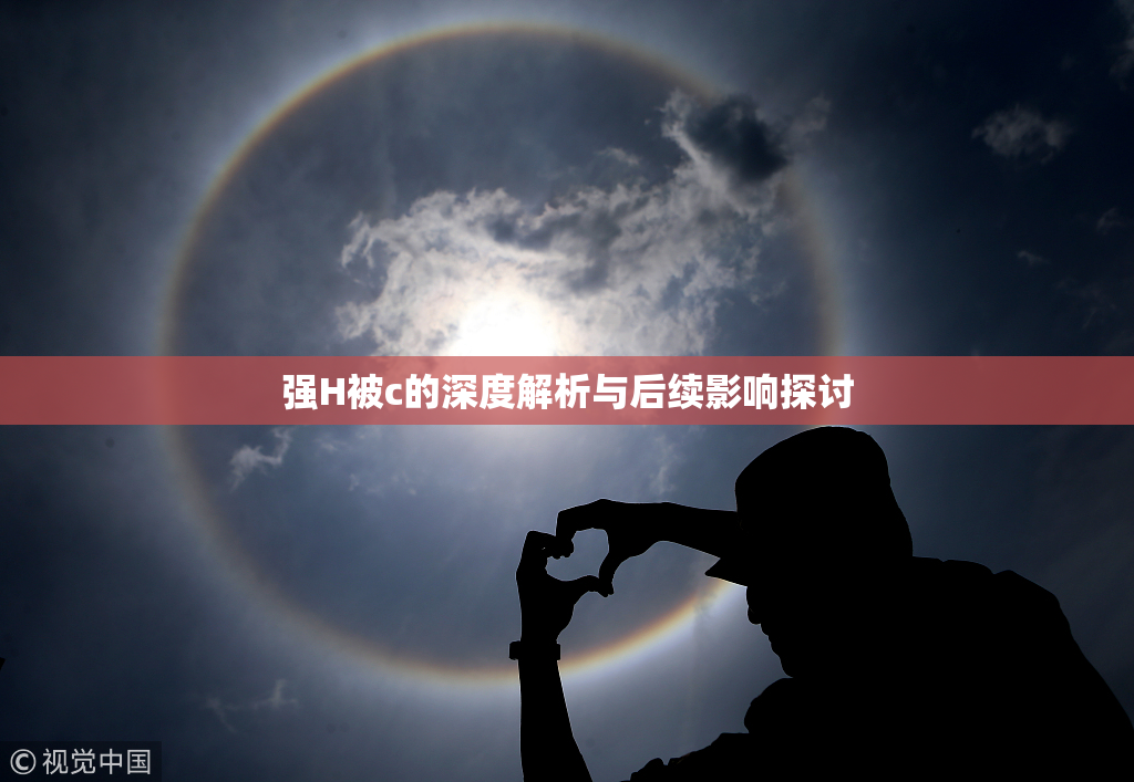 强H被c的深度解析与后续影响探讨