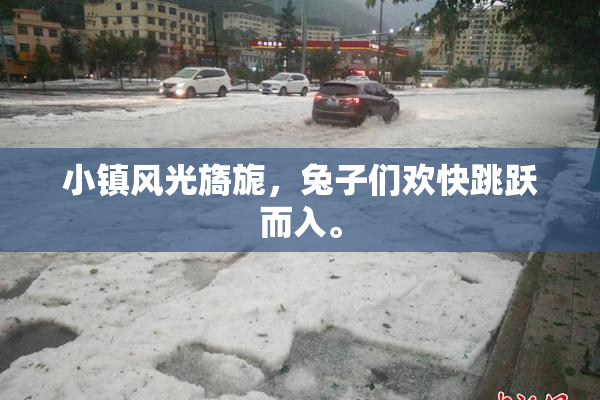 小镇风光旖旎，兔子们欢快跳跃而入。