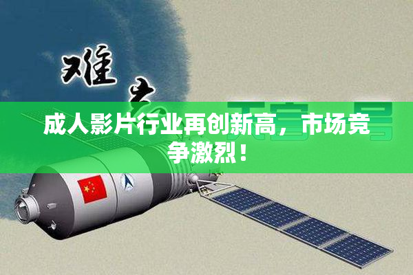 成人影片行业再创新高，市场竞争激烈！