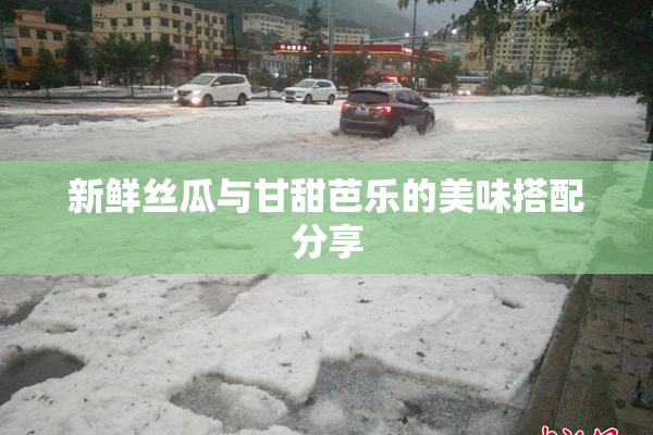 新鲜丝瓜与甘甜芭乐的美味搭配分享